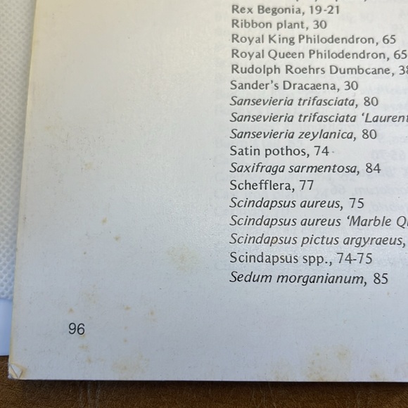 Professional Guide to Green Plants Houseplant guide - Picture 9 of 10